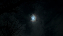 Black Doves (Hindi) - Season 01 Episode 02